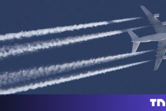 Contrails E1691411544625.jpegsignaturedd6b201fe5eeb0e4751391b91ecabb3b.jpeg